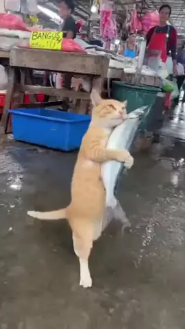 bili nga nmn daw nya😅😅