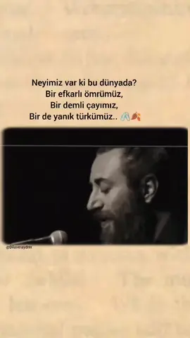 #ahmetihvani #türkülerimiz #sıdkıbaba #keşfetbeniöneçıkar #türkü 