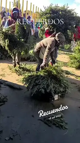 #recuerdos