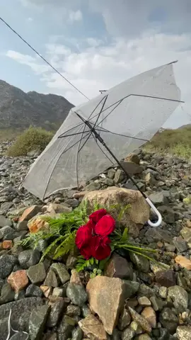 #الديره😢🌹