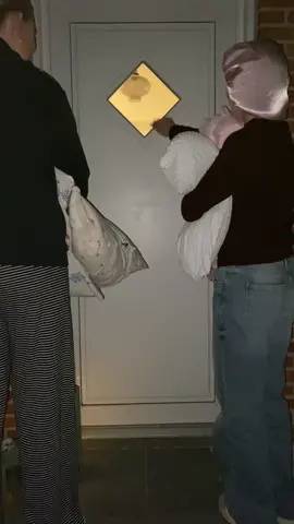 🤭🤭 vi elsker en sleep over @Freia_schmidt✝️ @Privat José 🪭 