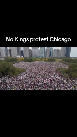 The streets are full.  The trains and buses are full.  The people have had enough.  #chicago #nokings #fyp