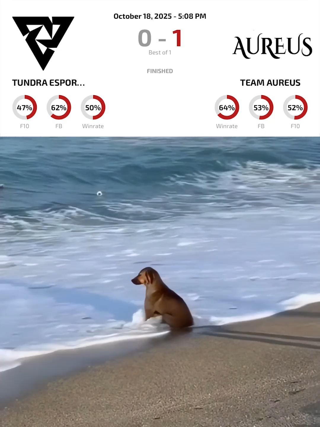 Have a great weekend, everyone 😎 #dota2 #esports #dotanews #blastslam #tundra