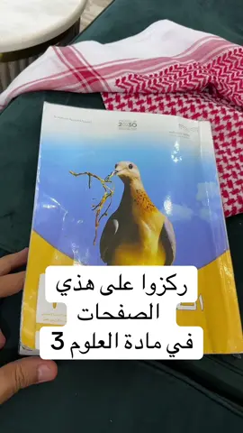 ركزوا على هذه الصفحات #creatorsearchinsights #مشاهدات_تيك_توك #جازان #اللهم_صلي_على_نبينا_محمد #السعوديه 