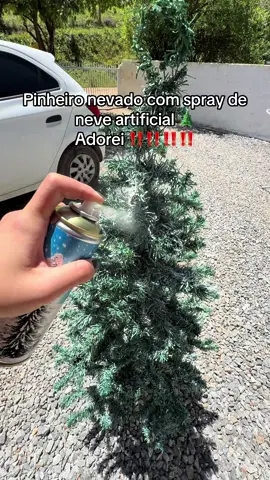 #pinheiro#neve#natal#tiktok