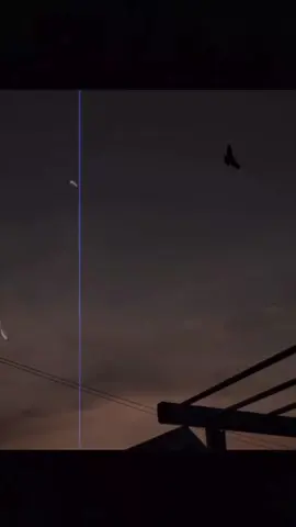 #foryou💕  #🦋myvideo🤗foryou🖤☆♡🦋🤗  #🍃hoa_mật_team🌺  #standwithkashmir 