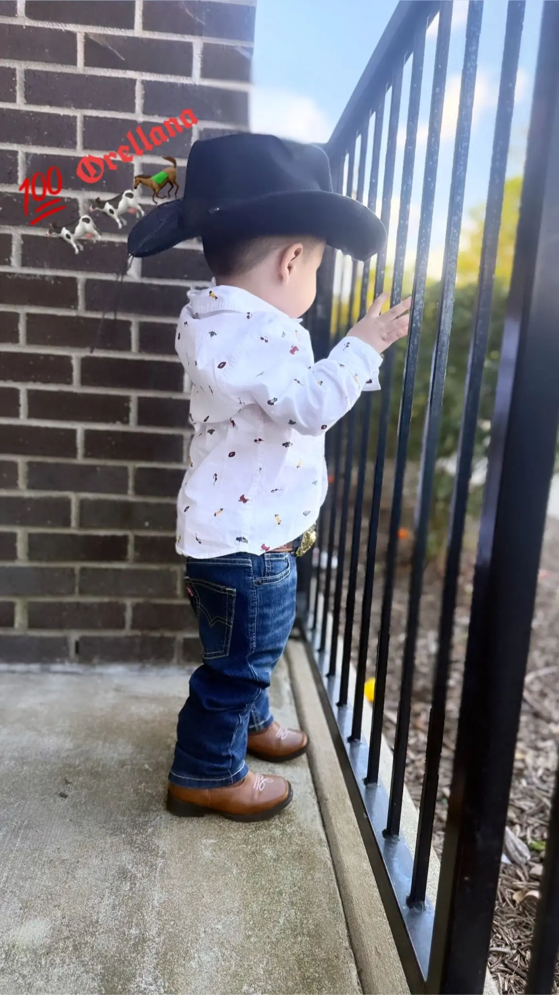 .🤠🐄🐄🐎🐎