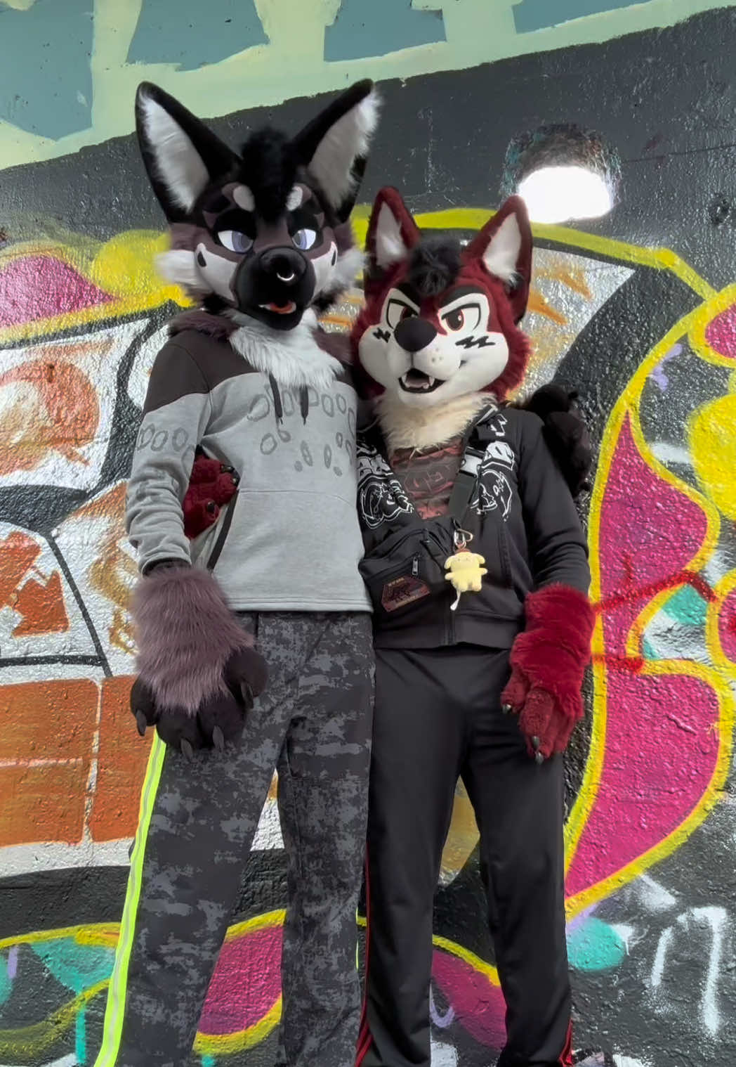 Hash tag size difference . . . #furrytiktok #furry #fursuiter #furrycommunity 