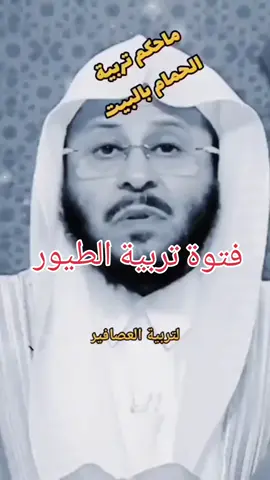 فتوة تربية الطيور #فتوى #تربية_الطيور #معتصم_خالد #dancewithpubgm #creatorsearchinsights 
