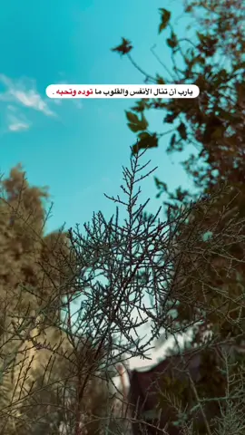 #تصويري_احترافي_الاجواء👌🏻🕊😴 #عبارات_جميلة_وقويه😉🖤 #متابعه_ولايك_واكسبلور_فضلا_ليس_امر #صعدو_الفيديو 