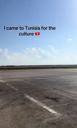 Who knows it too? @SinoStatix #fyp #cat #tunisia #holidays #fürdich 