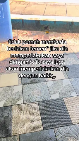 just kotn yaa izin#4u #foryoupage #quotes 
