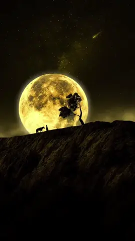 İki insan birbirini severse🖤 #keşfet #kesfet #allah #islam #fyppppppppppppppppppppppp 