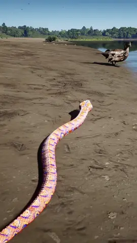 GREAT SURVIVAL TIPS DAILY FOR ALL FANS #foryoupage #viral #survival #viral 