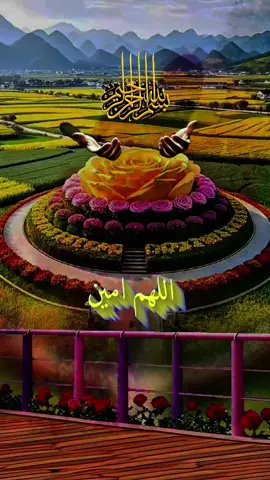 #trending #viraltiktok #onthisday #@amalfatim6 