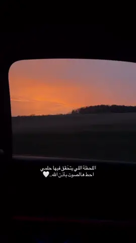 🕊️