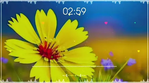 #تورسری_جینکی_خوپه_کورونوباندی_مری#😥💔💯🥀😭 #capcutvelocity #cctovideonotminevide #cctovideonotmine 