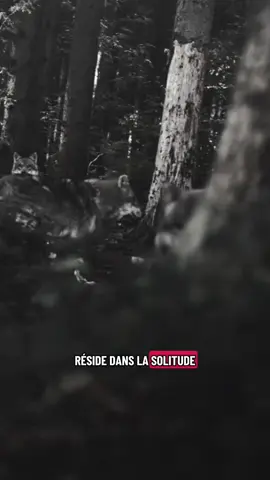 #abonnetoi #pourtoi #fyp #solitude #choix La solitude n’est pas pour les faibles, c’est le choix de ceux qui préfèrent la paix au mensonge des faux sourires. » 🐺