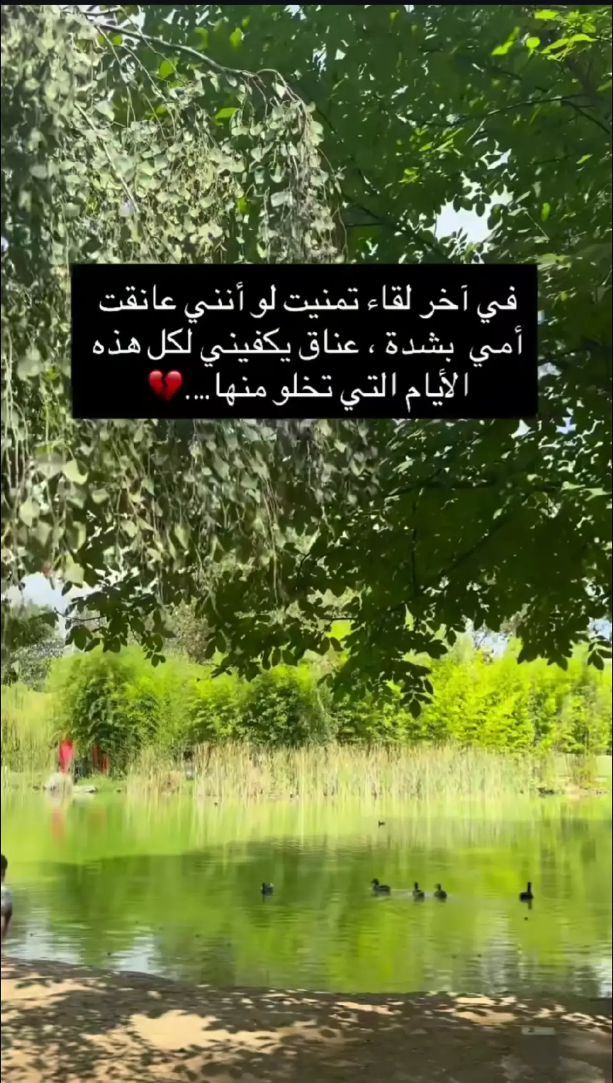 #اللهم-اغفرلي-ولوالدي#أمي #جنة #غاليتي #فيديوهاتي 