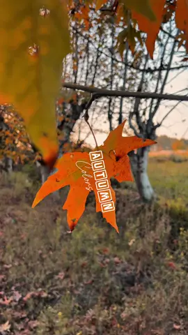 Autumn 🍂 colors #viral #foryoupage #parachinar #kpk #autumn 