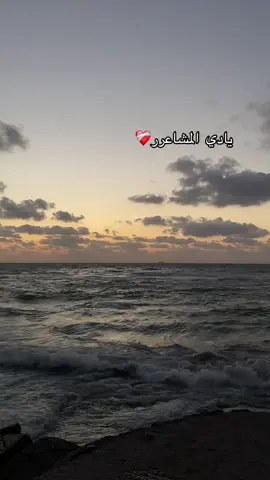 #foryou #Alexandria#fypシ゚ 