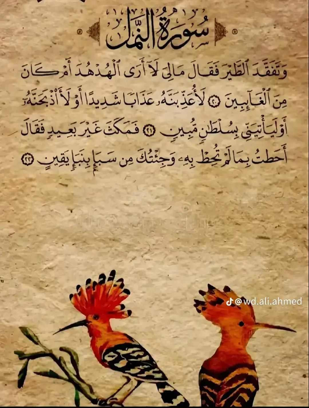 القرآن  #القران_الكريم_راحه_نفسية😍🕋 #اكسبلورر #الشعب_الصيني_ماله_حل😂✌️ #fyp #غزة_فلسطين 
