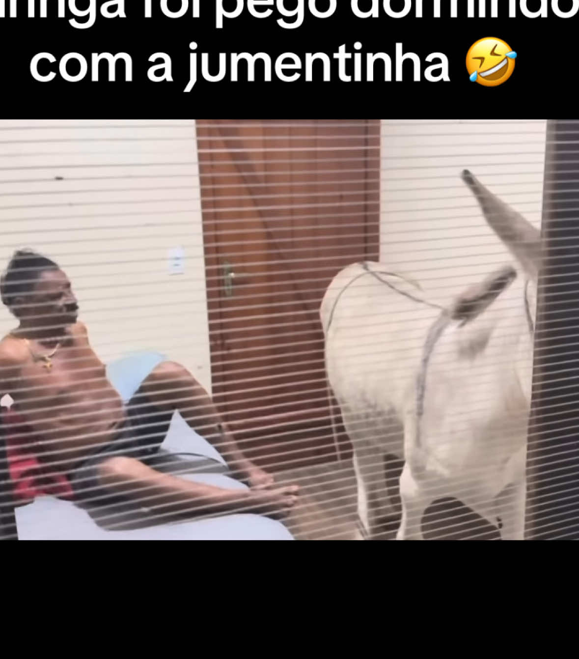 Kkkkkkkk #cortesdotiringa3 