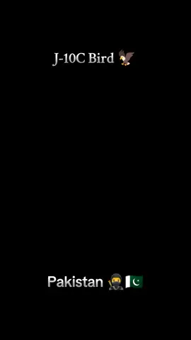 🇵🇰🇵🇰🥷 پاکستان ہمیشہ زندہ باد #pakistanzindabadpakfojzindabad #جیوپاکستان 