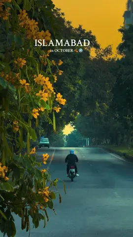 دنیا کا دوسرا خوبصورت ترین شہر اسلام آباد اکتوبر کے مہینے میں کچھ ایسا لگ رہا ہے ماشاءاللہ  🍂❄️Beautiful Islamabad , Pakistan #laeeqabbas #islamabad #cinematography 