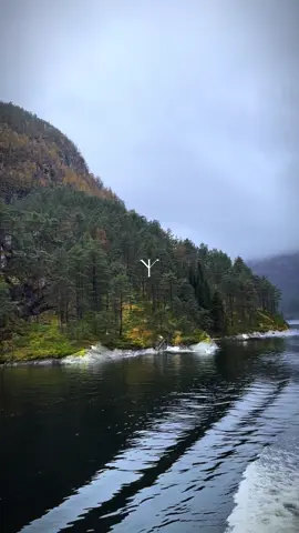 🌊 ⛰️  #norse #nature #nordic #germanic #forest 