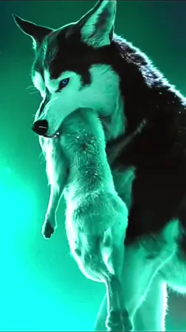 life  animals  #viral #trending #foryou #animals #fyp 