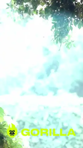 Холостяк 14 сезон 🌹  Тарас Цимбалюк знайомиться з дівчатами! Перша серія — перші троянди, перші емоції, перші враження ❤️ #Холостяк #ТарасЦимбалюк #СТБ #стопосто #реалітішоу 