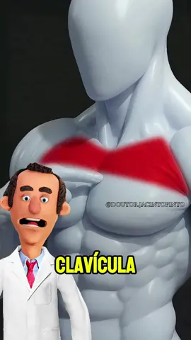 Treino para parte superior do peito