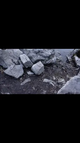 astray #nature #iloveyou