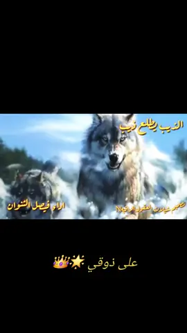 شيلة الذيب // اداء : فيصل الثنوان 2025 
