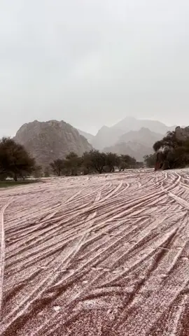 ارشيف الشتاء ❤️❤️.#كسبلور #لايك #شمر #hail #مالي_خلق_احط_هاشتاقات #حايل #حايلندا #طنايا #حائل #حائل_الآن 