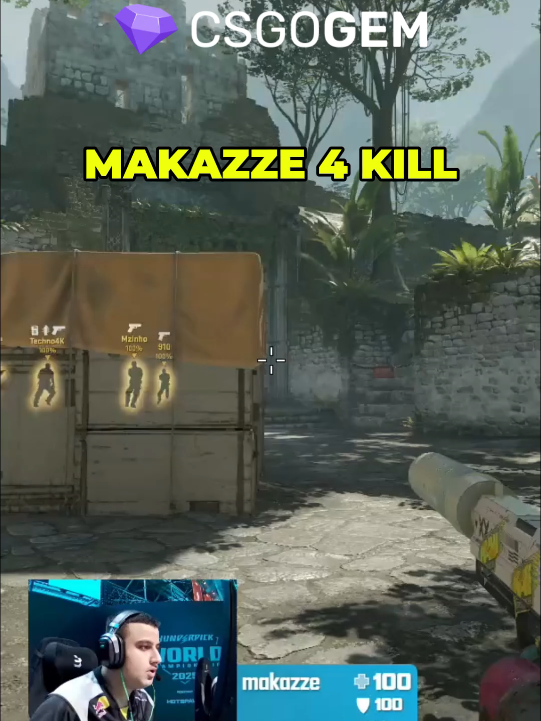 #cs2 #кс2 #natusvincere