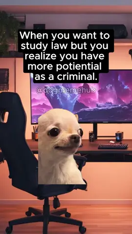 Law students😂 #funny #husbandwife #law #dogmeme #viral 