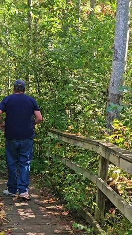 #FallColors #FYP #EnjoyTheSeason #GetOutAndExplore #FallVibes 