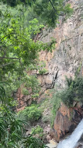 Magoebaskloof Canopy Tours! Nothing beats the sound of water in nature! 😻… we taking it back to Magoebaskloof Canopy Tours Hiking Trail!  #magoebaskloofcanopytours #chasingwaterfalls #limpopo #Hiking #adventure 
