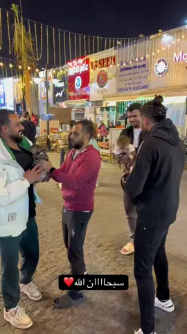 سبحان الخالق ❤️❤️❤️