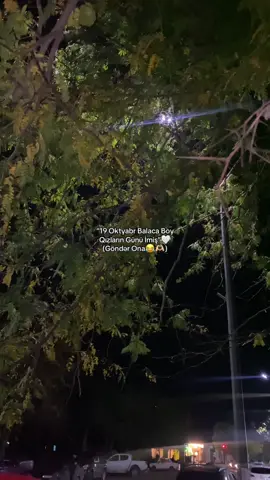 Tağğ eləə🤍😂🫶🏻 #kesvet #agabalayews 