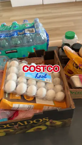 Costco Run 🏃‍♀️  #costcofinds #costco #costcohaul #costcoguys #costcotiktok 