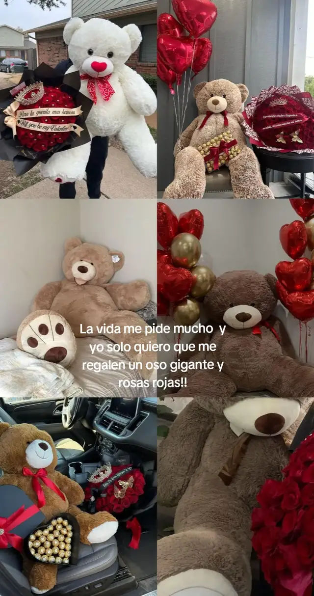 #parati #fyp #fyppppppp #osogigantedepeluche  La verdsd si 🥹♥️♥️