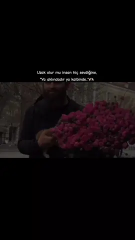 #🌷 