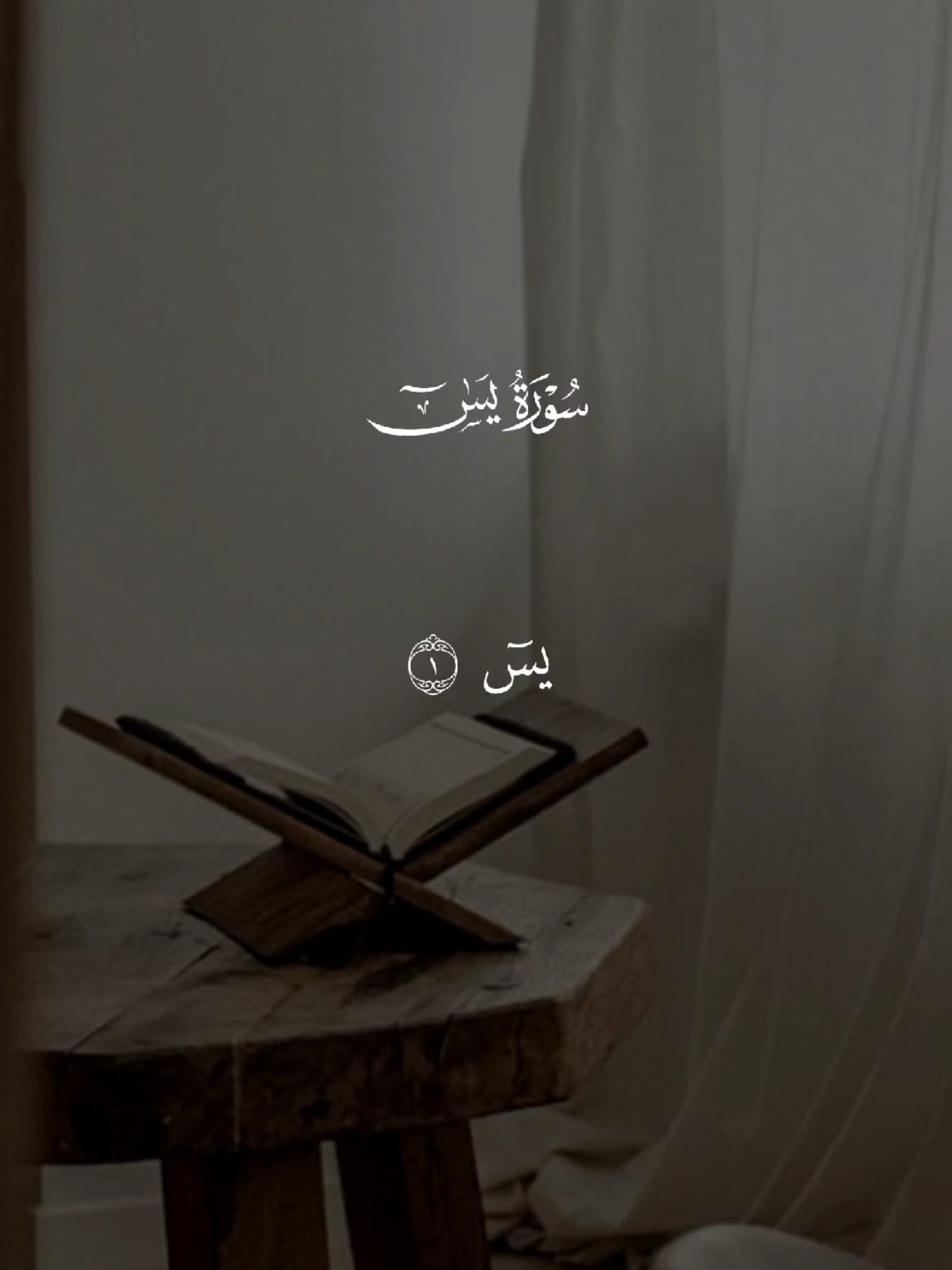 سورة يس 🤍 #قران #quran #قران_كريم #Allah #اللهم_صلي_على_نبينا_محمد 