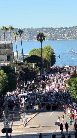 🚨 HAPPENING NOW: The San Diego waterfront has turned into a sea of people marching for the “No Kings” cause. 🌊👑 A movement uniting voices from coast to coast. 🇺🇸 #NoKingsProtest #BreakingNews #SanDiego #HappeningNow 