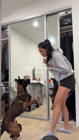 A week of training is almost complete and he’s already showing so much progress 🥹🥹🖤🖤 I AM NOT A TRAINER !!!!