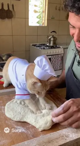 Gatinho padeiro passando na sua tela 🥖🤣 #gatos #meme #ai 