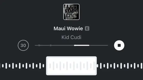 #mauiwowie #kidcudi #song #foryou 